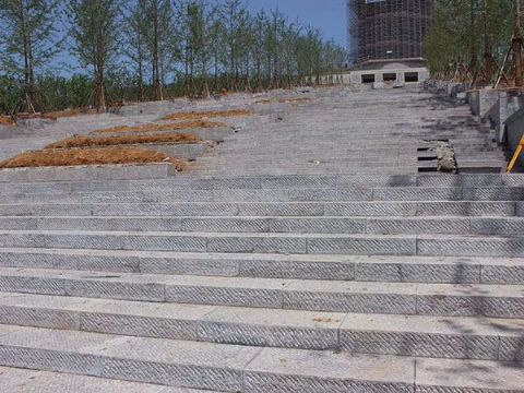點擊查看詳細信息<br>標題：臺階石 閱讀次數(shù)：2989