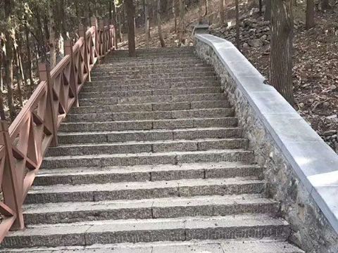點擊查看詳細信息<br>標題：臺階石 閱讀次數(shù)：3147